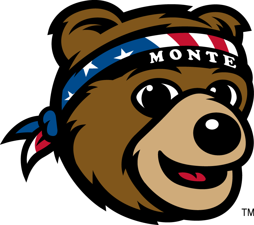 Montana Grizzlies 2010-Pres Mascot Logo diy DTF decal sticker